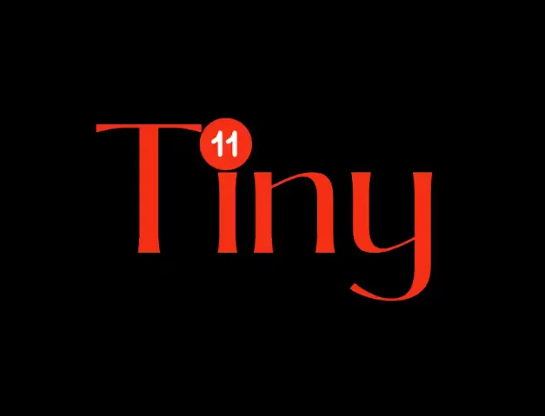 Télécharger et installer Tiny11 sur les PC bas de gamme (mise à jour 23H2)